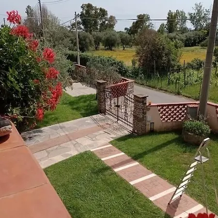 Colli Di