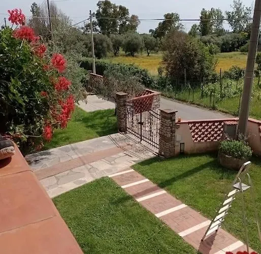 Colli Di