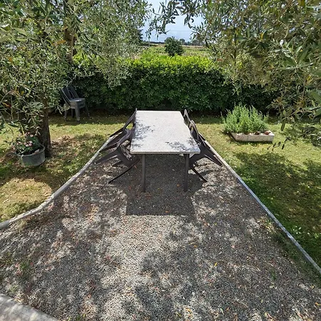 Colli Di Luni