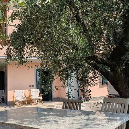 Colli Di